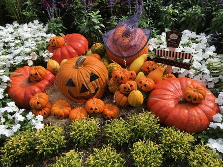 ハロウィンの飾り(三島市立公園楽寿園) ハロウィンの飾り(三島市立公園楽寿園) ハロウィン,かぼちゃ,ジャックオーランタンの写真素材