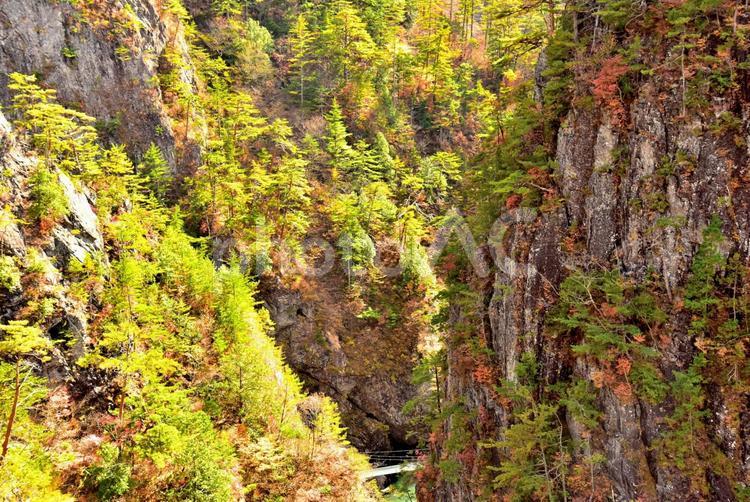 秘境の紅葉（栃木川俣） 紅葉,秋,秘境の写真素材