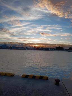 夏の川 夏の川の写真