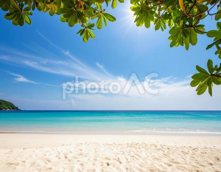 南国風の海の写真素材 夏,オーシャン,波の写真素材