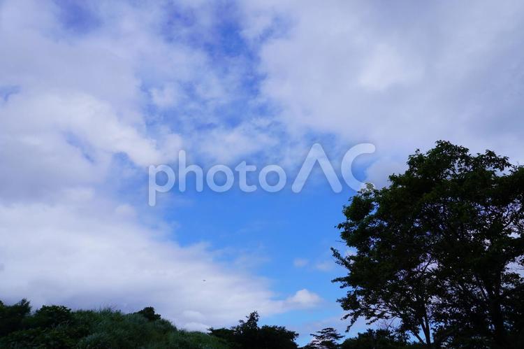 自然の風景 自然,平尾台,風景の写真素材