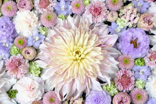 花手水 花手水 花手水,自然,背景の写真素材