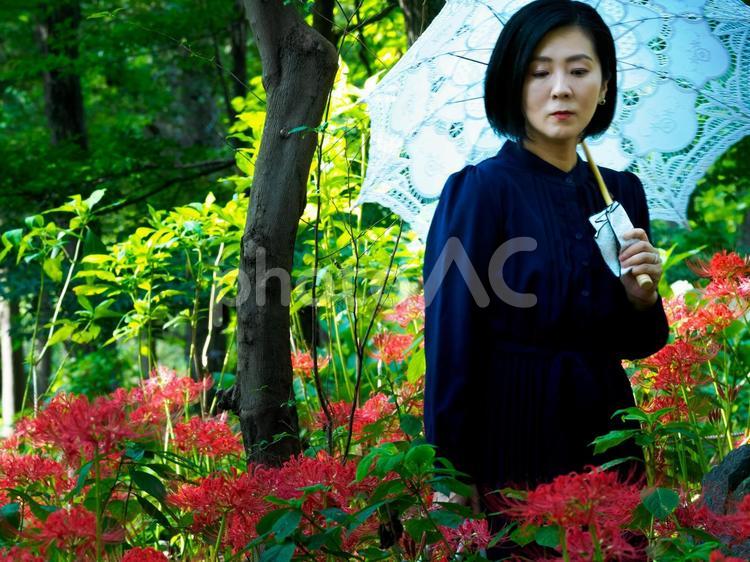 40：彼岸花を静かに見つめる女性 彼岸花,ミステリアス,悲しげの写真素材