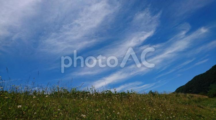 すじ雲 空,自然,屋外での写真素材