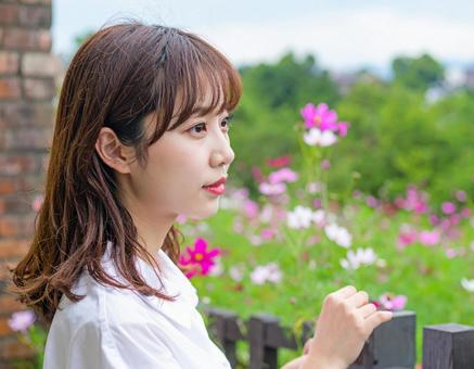 コスモスの庭園を見つめて コスモスの庭園を見つめての写真