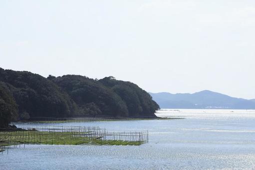 伊勢志摩 海苔粗朶 英虞湾 伊勢志摩 海苔粗朶 英虞湾 伊勢志摩,海苔粗朶,英虞湾の写真素材