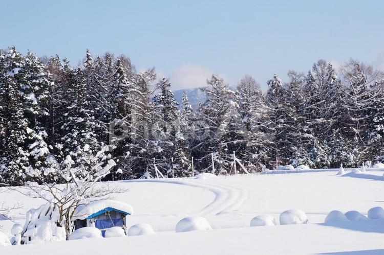 冬山の風景 雪,冬,木の写真素材