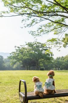 春の公園で散歩するトイプードル 春の公園で散歩するトイプードルの写真