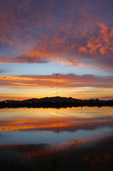 ９月下旬の高松市野田池からの朝焼け 朝焼け,マジックアワー,早朝の写真素材