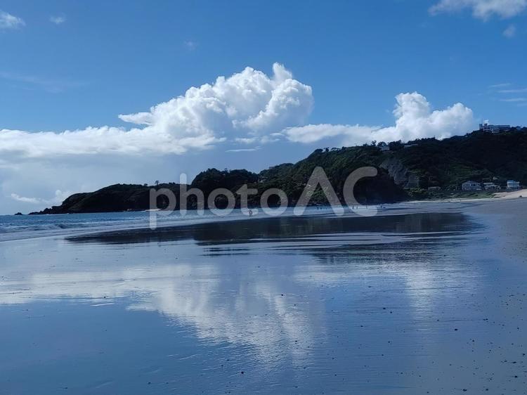 伊豆(白浜海岸) 海岸,砂浜,伊豆の写真素材
