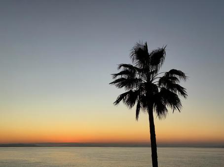 りんくう公園マーブルビーチ りんくう,マーブルビーチ,夕日百選の写真素材