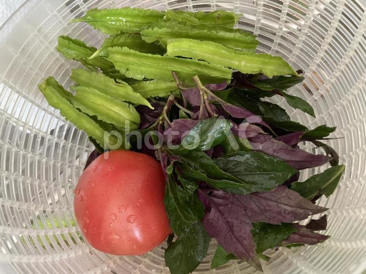 野菜を食べよう！ 野菜,食べ物,フレッシュの写真素材