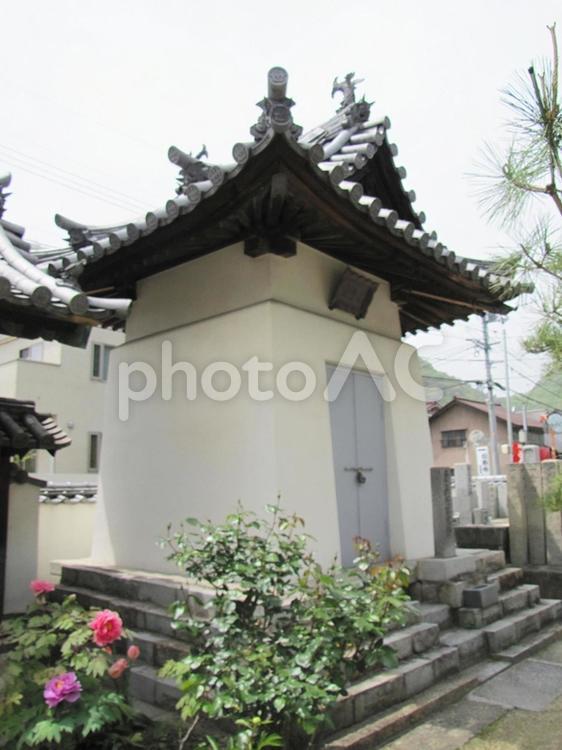 【風景写真】専福寺(広島県三原市)の風景 専福寺,浄土真宗,寺社仏閣の写真素材