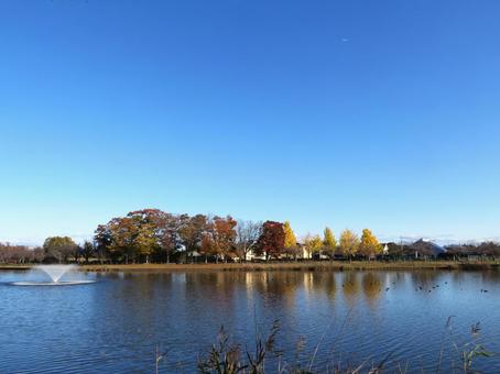 秋の公園の風景 秋の公園の風景の写真