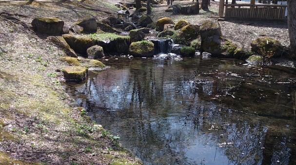 公園の小川 川,水辺,水の写真素材