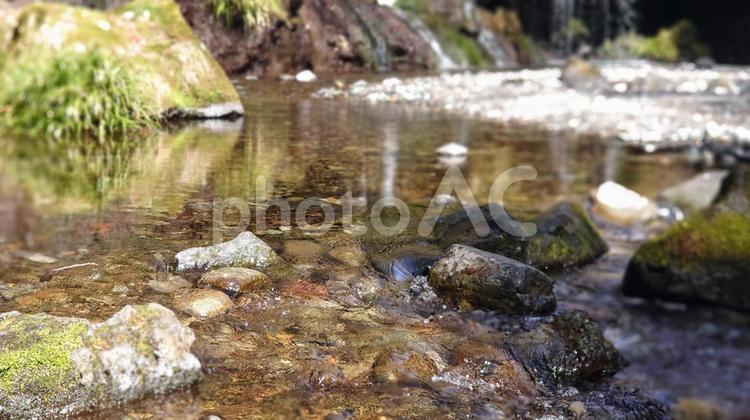 陣馬の滝 陣馬の滝,滝,春の写真素材
