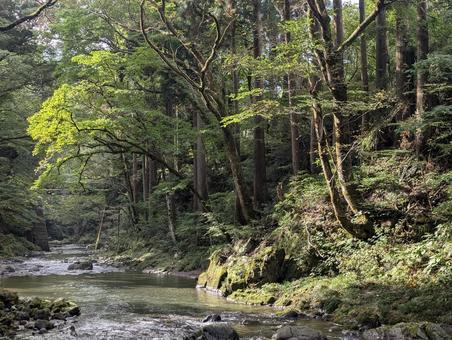 福井の川　2 川,山,自然の写真素材