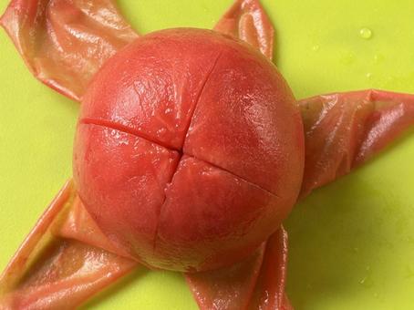 皮をむいだあと トマト,湯むき,湯むきトマトの写真素材