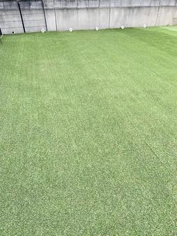 人工芝使用　目にも優しいシンプル庭造り1の写真