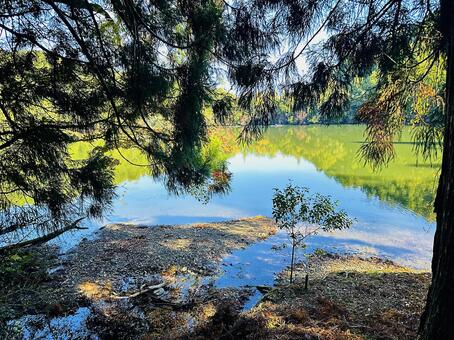 池　自然な池　秋の風景 風景,地方,奈良県吉野郡の写真素材