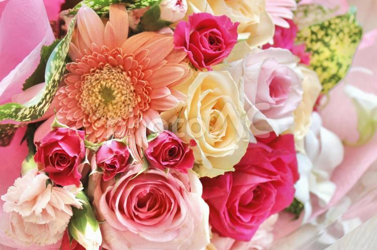 薔薇とガーベラのピンク色の花束のズーム 花,バラ,花束の写真素材