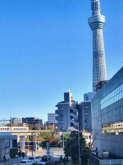 十二月の東京スカイツリー-39 十二月の東京スカイツリー-39 十二月,冬,東京スカイツリーの写真素材