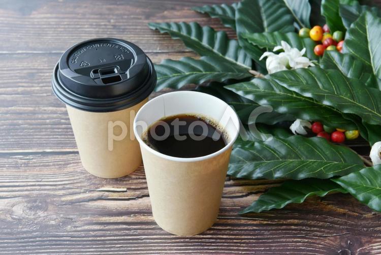 テイクアウトコーヒー・お持ち帰り コーヒー,珈琲,コーヒー豆の写真素材