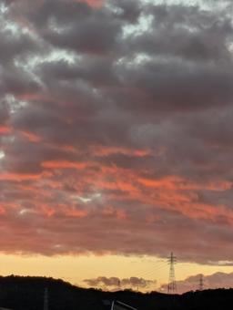 早朝 朝,雲,オレンジの写真素材