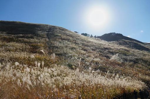 曾爾高原　すすき 曾爾高原,すすき,ススキの写真素材