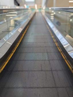 上がるか下がる 上がるか下がるの写真