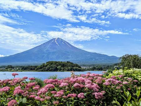 初夏の大石公園 初夏の大石公園の写真