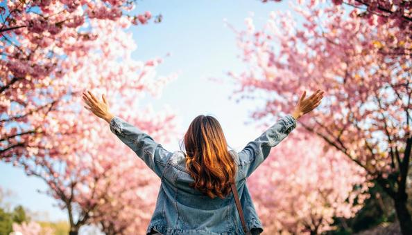 満開の桜に両手を広げる女性の後ろ姿の写真