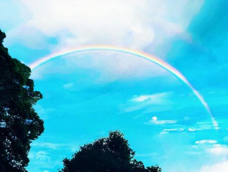 Photo, rainbow, rain, teeth, 