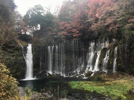 白糸の滝の写真