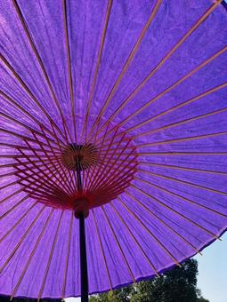 番傘　和 インテリア,和,レイアウトの写真素材