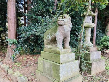 駒形神社 狛犬 駒形神社 狛犬の写真