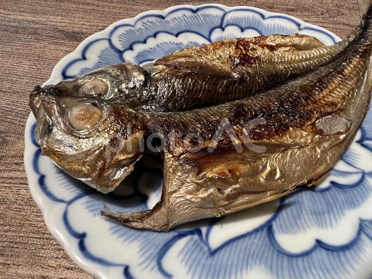 きれいで美味しそうな鯵のひらきの干物 アジの開き,アジ,鯵の写真素材