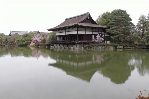 平安神宮 平安神宮 京都,建物,キレイの写真素材