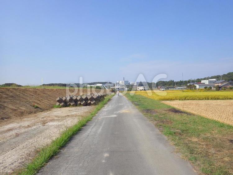 堤防下の農道をサイクリング 自転車,クロスバイク,乗り物の写真素材
