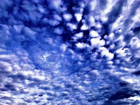秋の空 秋の空の写真