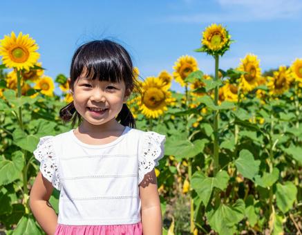 ひまわり畑と子供と青空 ひまわり畑と子供と青空の写真