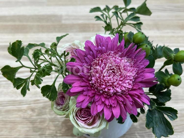 小さなアレンジ　ピンクのガーベラとバラ① ガーベラ,薔薇,花の写真素材