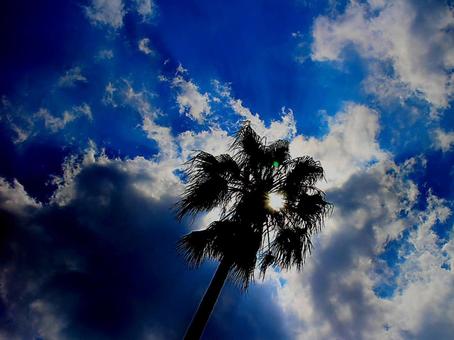 日本の空 日本の空の写真