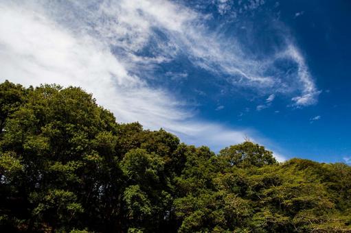夏の空 夏の空の写真