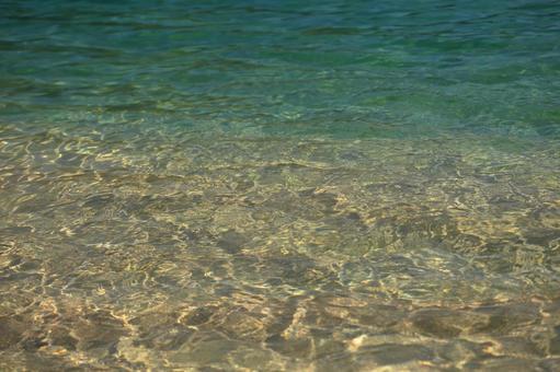 夏の浅瀬 夏の浅瀬の写真