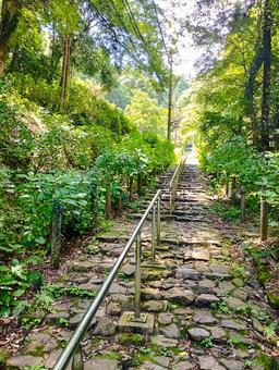 大自然の中をゆく 大自然の中をゆく 山,自然,散歩の写真素材