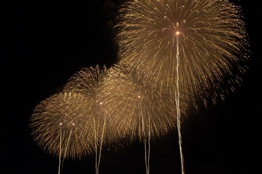 25柏崎ぎおん祭り 花火 25柏崎ぎおん祭り 花火の写真
