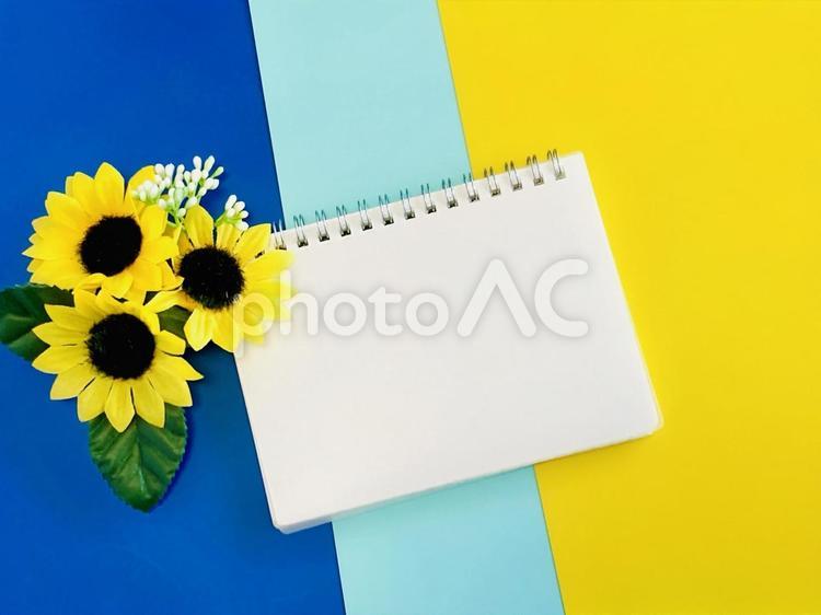 白紙のノートと向日葵 向日葵,ノート,白紙の写真素材
