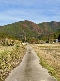 11月　秋の福井県坂井市山奥の景色 秋,ハイキング,山並みの写真素材
