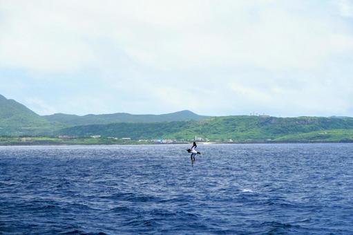 沖縄・海上から見る与那国島とカツオドリ 沖縄・海上から見る与那国島とカツオドリ 与那国島,カツオドリ,祖納の写真素材
